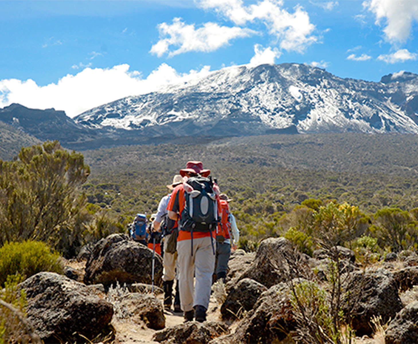 Kilimanjaro Climbing Tours