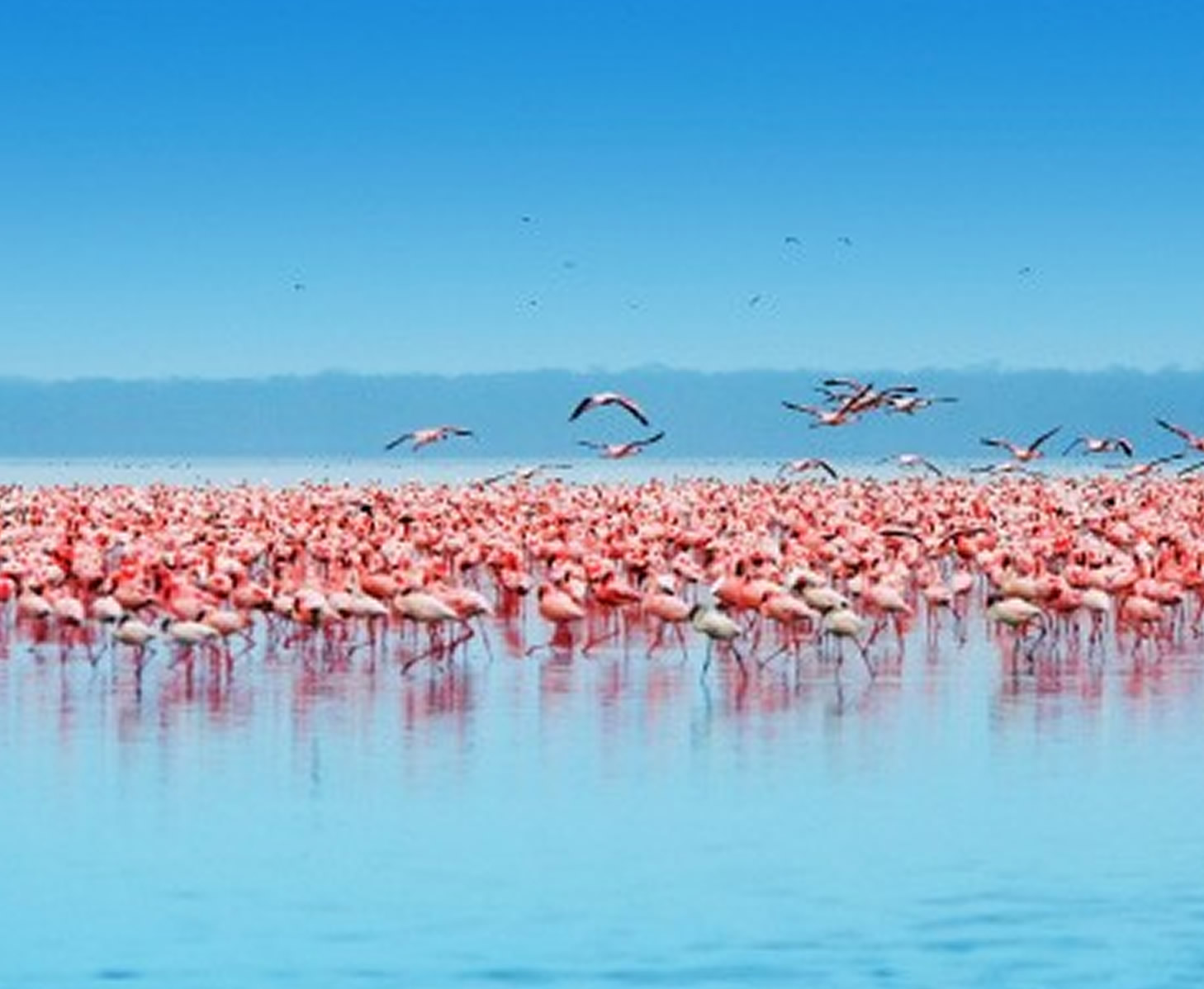 Amboseli Camping Safari