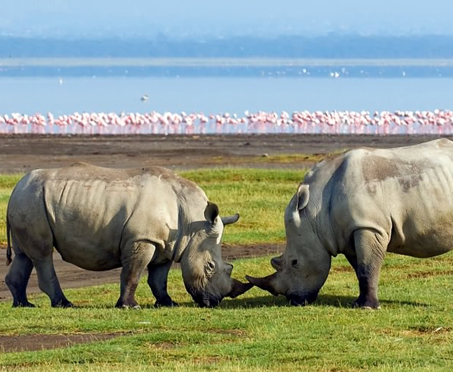 Amboseli Camping Safari