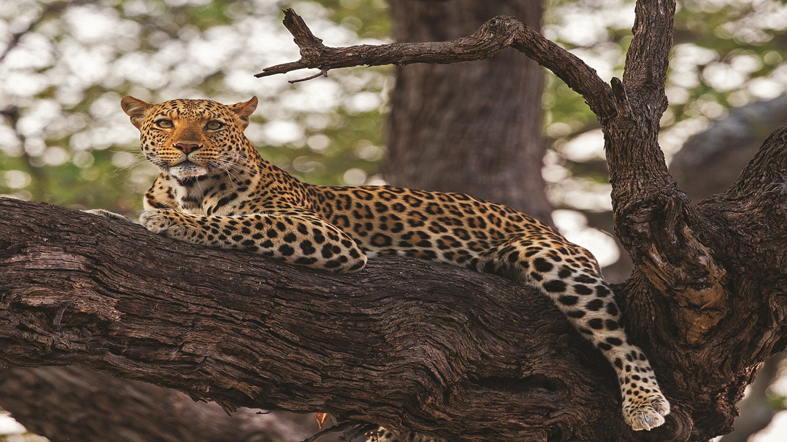 Lake Manyara Tanzania Adventure Safari